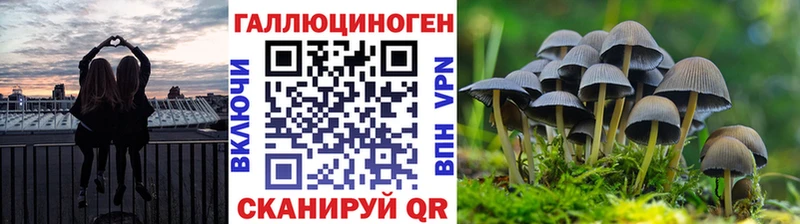 Галлюциногенные грибы прущие грибы  Купить где  Белореченск 